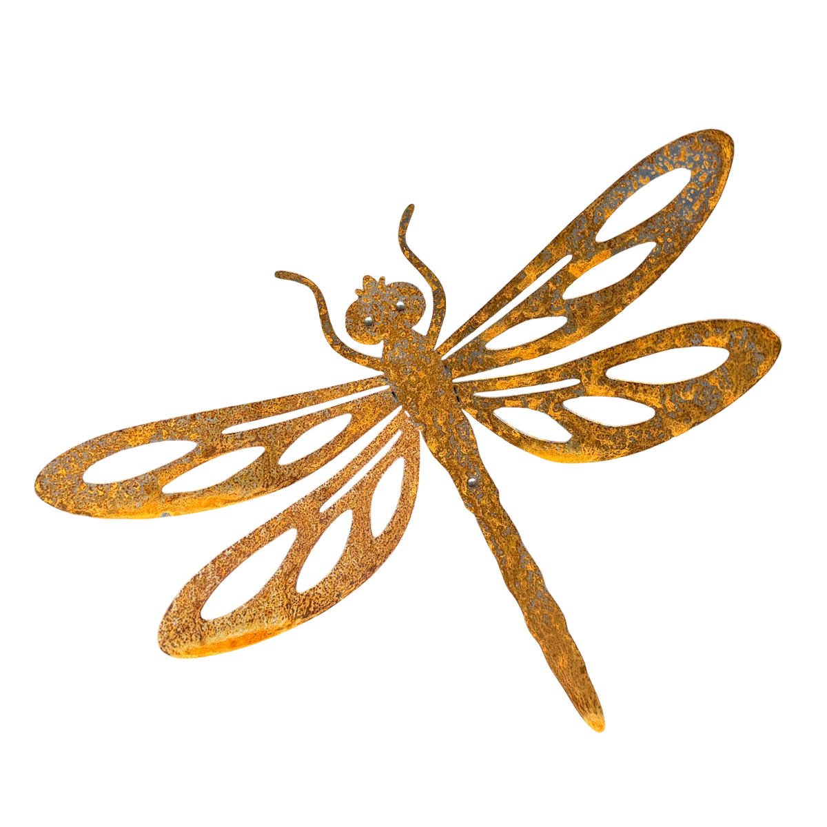 Grote cortenstalen libelle voor aan de wand, Tuinvorm DRAGONFLY van Stalen Design