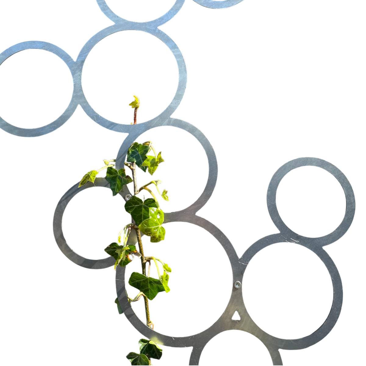 Klimplantrek RING van cortenstaal met rondjes motief voor klimplanten aan de buitenmuur