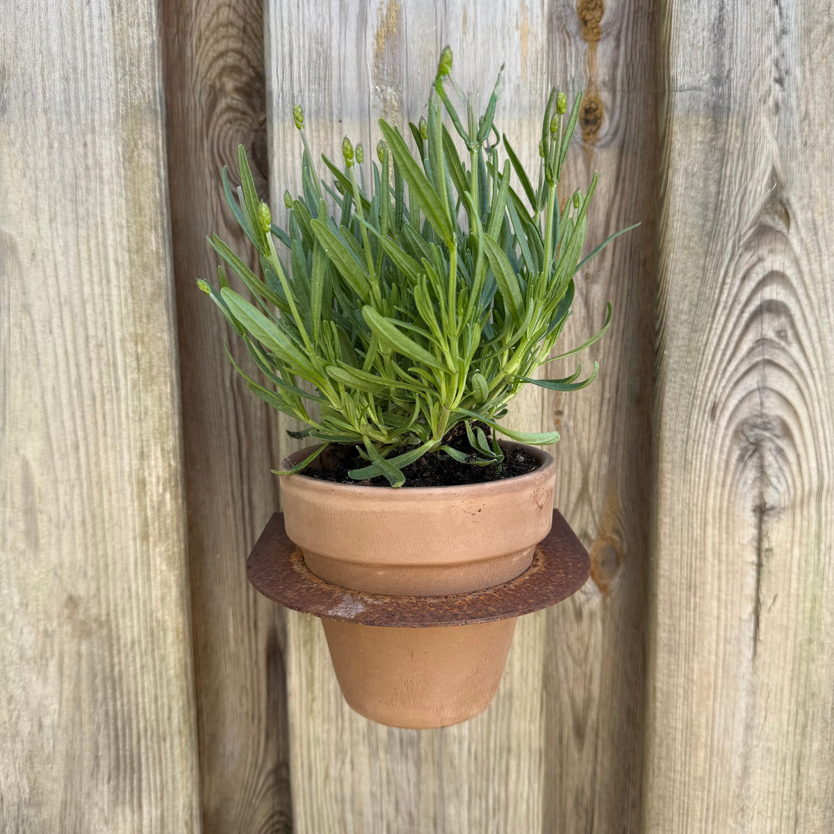 MURO flower pot