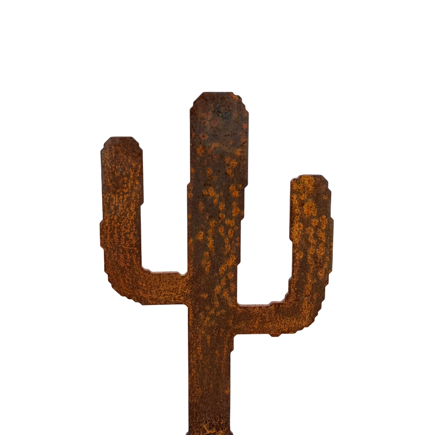 Tuinsteker CACCTUSS – cortenstalen plant cactus voor in de tuin