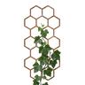 Klimplantrek HEXON
