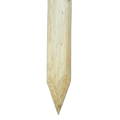 Paal HOUT