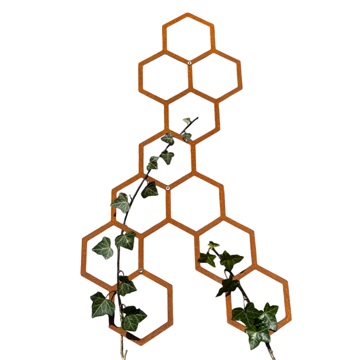 Klimplantrek HIVE van cortenstaal met hexagon motief voor klimplanten aan de buitenmuur
