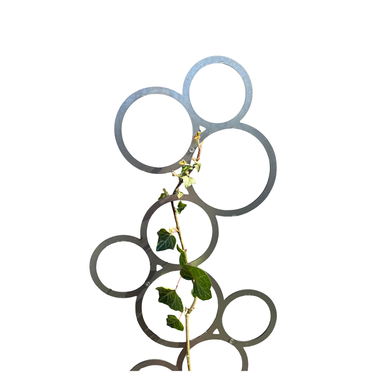 Klimplantrek BUBBLE van cortenstaal met rondjes motief voor klimplanten aan de buitenmuur