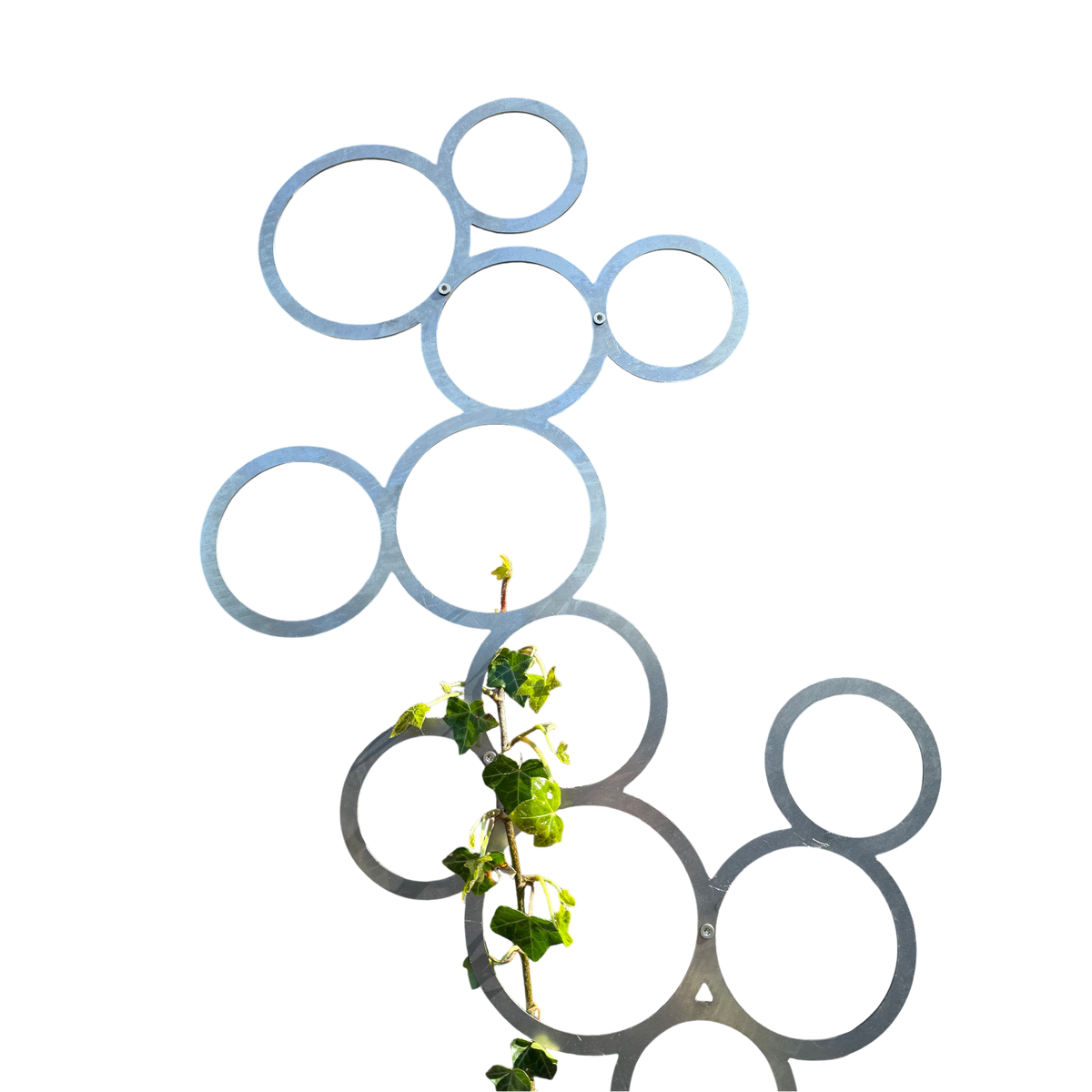 Klimplantrek RING van cortenstaal met rondjes motief voor klimplanten aan de buitenmuur