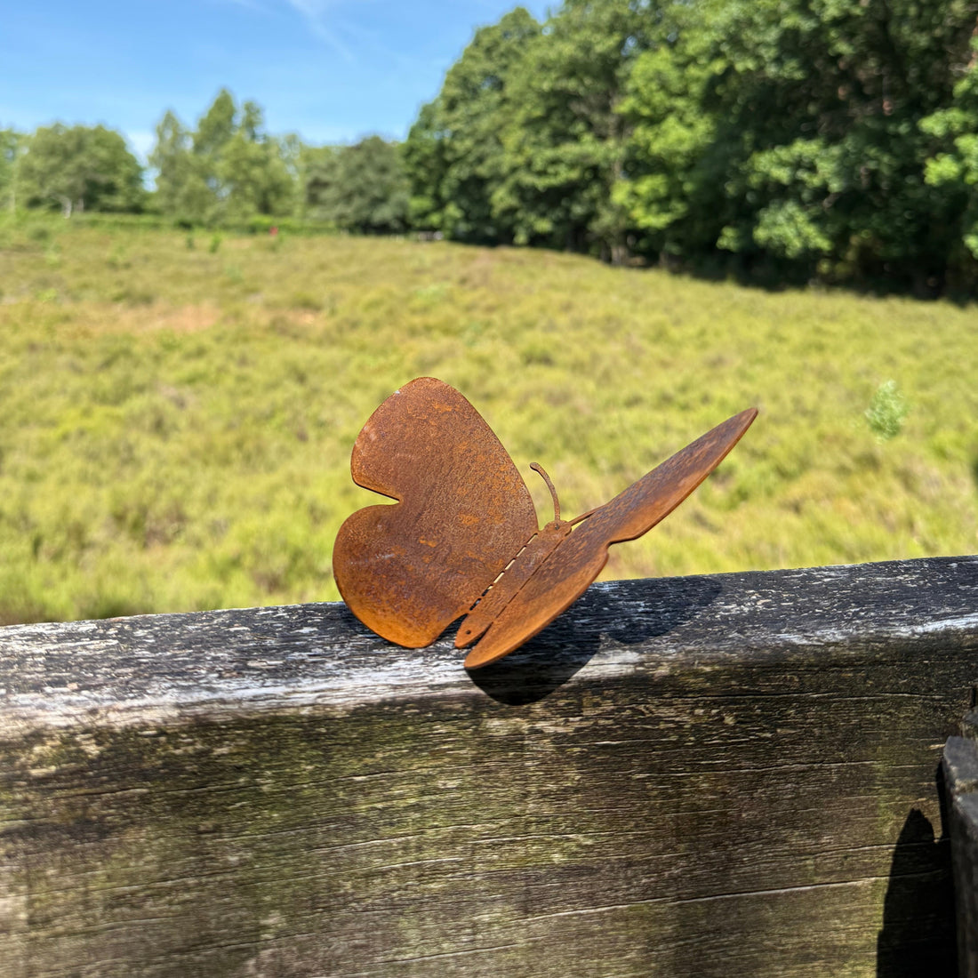 Tuinvorm BUTTERFLIES – set van 4 cortenstalen vlinders voor wandmontage