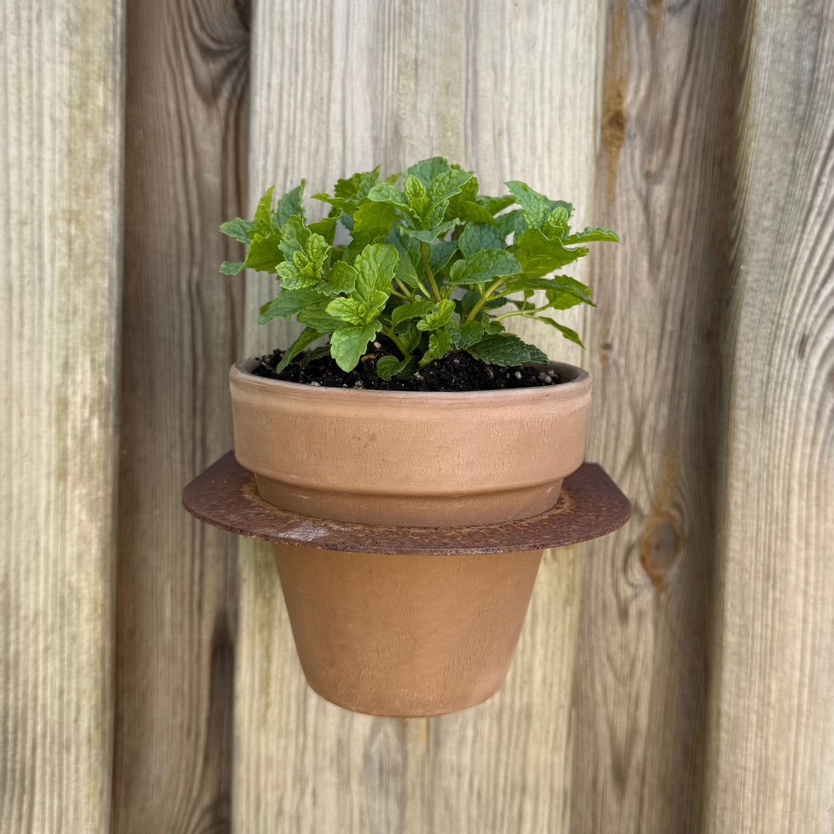 MURO flower pot
