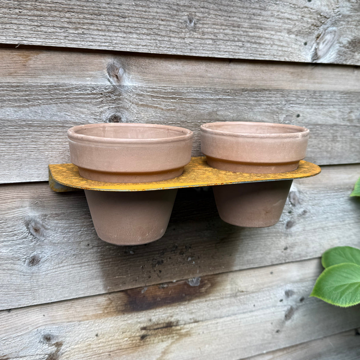 Blumentopf DUO