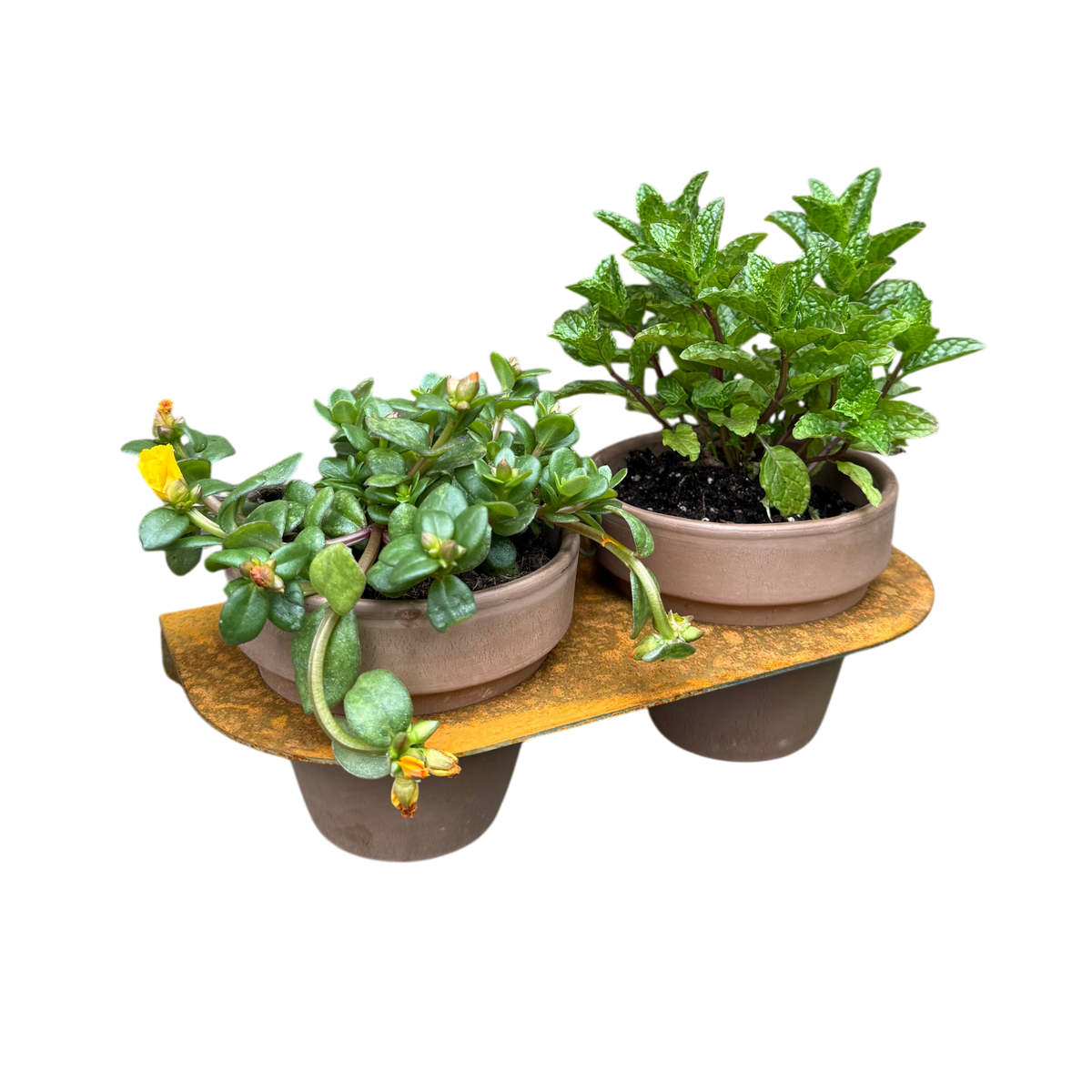 Bloempot DUO