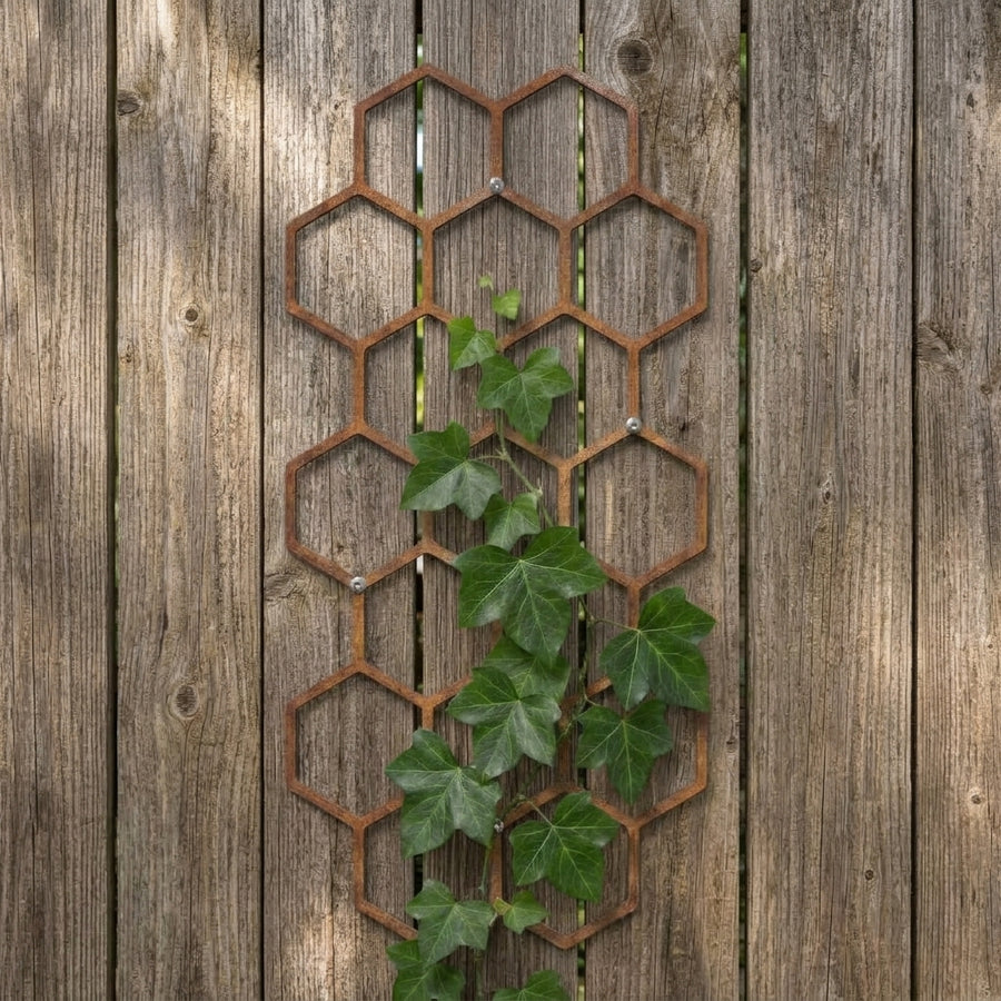 HEXON climbing plant trellis